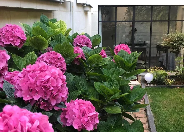 Bulles De Loire
