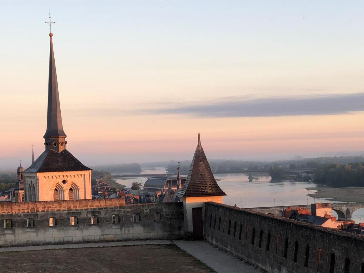 Bed & Breakfast Bulles De Loire